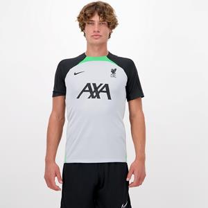 NIKE FC Liverpool Strike Dri-FIT Knit Fußballshirt Herren 013 - wolf grey/poison green/black