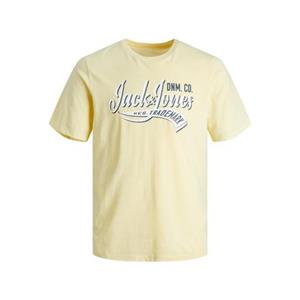 Jack & Jones Junior Shirt met ronde hals JJELOGO TEE SS NECK 2 COL AW23 NOOS JNR