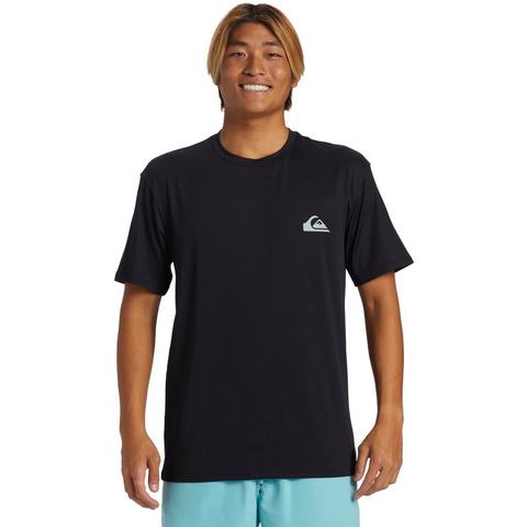 Quiksilver T-Shirt "EVERYDAY SURF TEE SS"