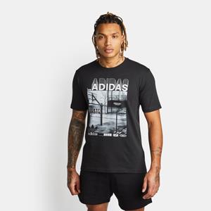 Adidas Bb Court - Herren T-shirts