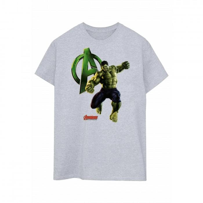 Hulk Heren Pose T-shirt