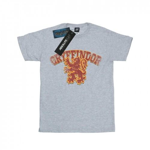 Harry Potter Heren Gryffindor Sport embleem T-shirt