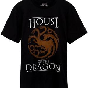 Pertemba FR - Apparel Huis van de draak Heren logo T-shirt