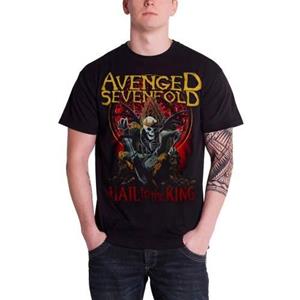 Avenged Sevenfold Unisex volwassen nieuwe dag stijgt T-shirt