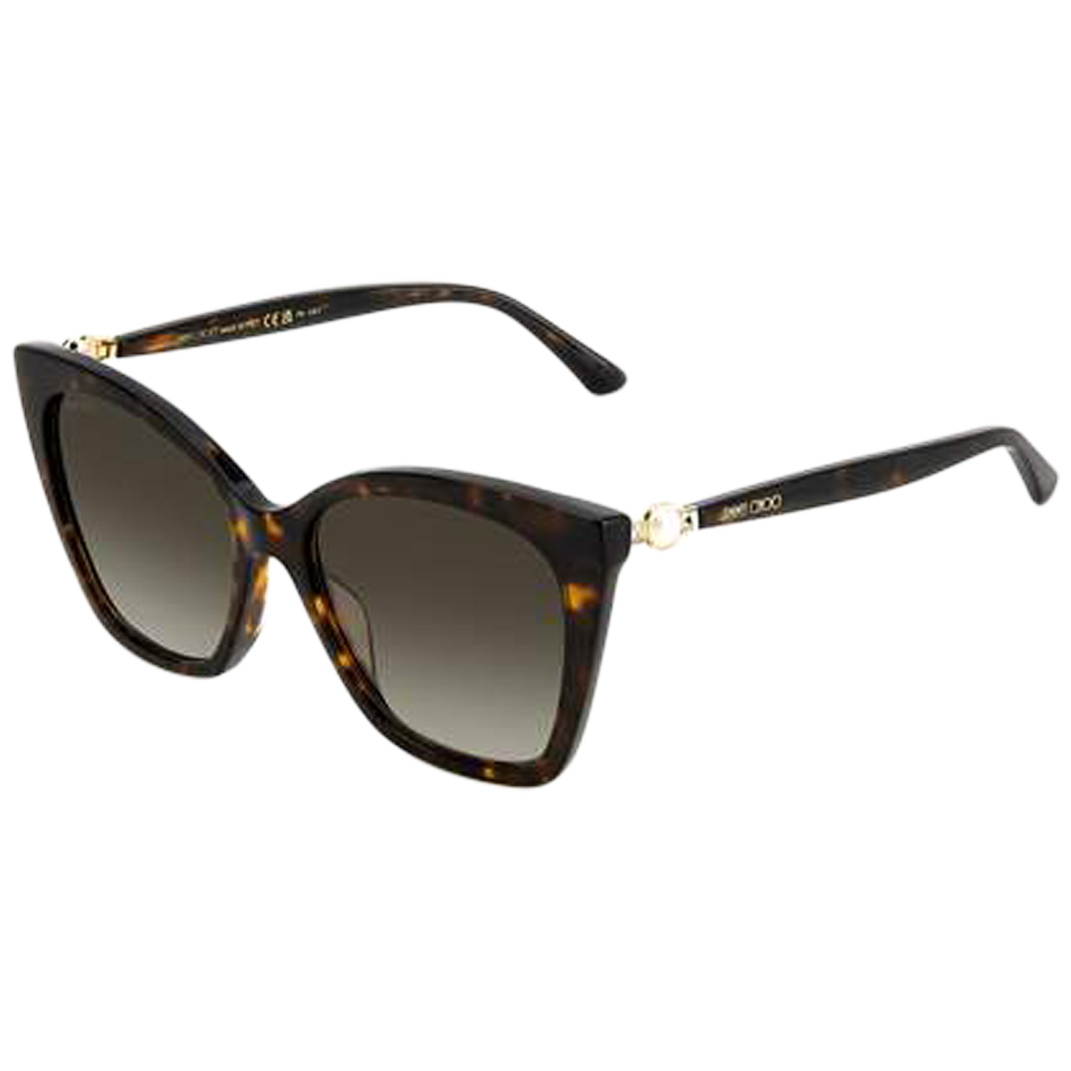 Jimmy Choo Eyewear Rua zonnebril - Bruin