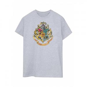 Harry Potter Mens Hogwarts T-Shirt