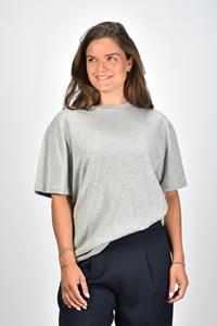 Extreme Cashmere t-shirt Rik 269 grey