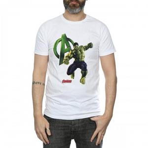 Pertemba FR - Apparel Avengers Age Of Ultron Mens Hulk Pose katoenen T-shirt