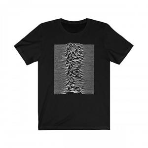 Pertemba FR - Apparel Joy Division Unisex volwassen onbekende genoegens T-shirt met rugprint