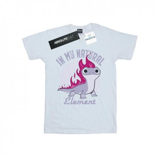 Disney Frozen 2 Salamander Bruni Element T-shirt voor heren