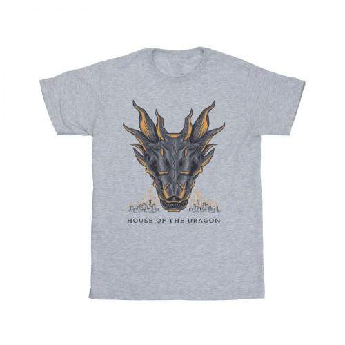 Pertemba FR - Apparel Game of Thrones: House Of The Dragon Heren Dragon Flames T-shirt