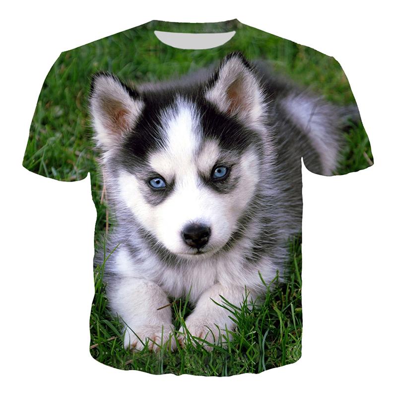 Baibao QIQI Hond Husky 3D Print T-shirt kleding Dier Husky T-shirts Mannen Vrouwen Zomer Nieuwe Mode Casual Hip Hop Tops XXL