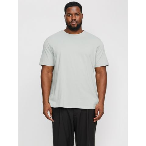 Jack & Jones PlusSize Shirt met ronde hals JJEORGANIC BASIC TEE SS O-NECK NOOS PLS