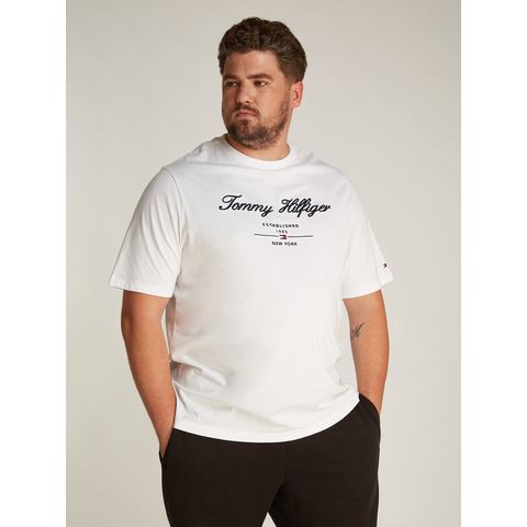 Tommy Hilfiger Shirt met ronde hals BT-SCRIPT LOGO TEE-B