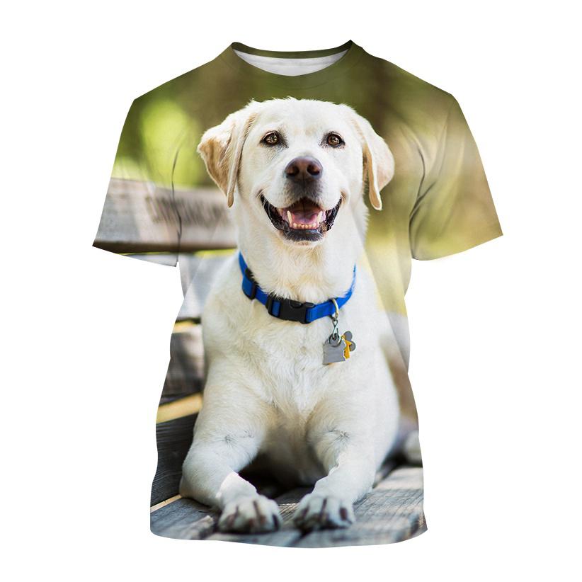 Baibao QIQI Nieuwe mannen Grappige Casual Hond 3D Korte mouwen T-shirt Harajuku Stijl Huisdier Print Top Leuke Dier labrador Retriever T-shirt XXS