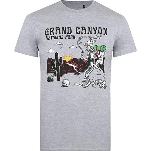 Pertemba FR - Apparel Nationale parken Heren Grand Canyon T-shirt XL zand