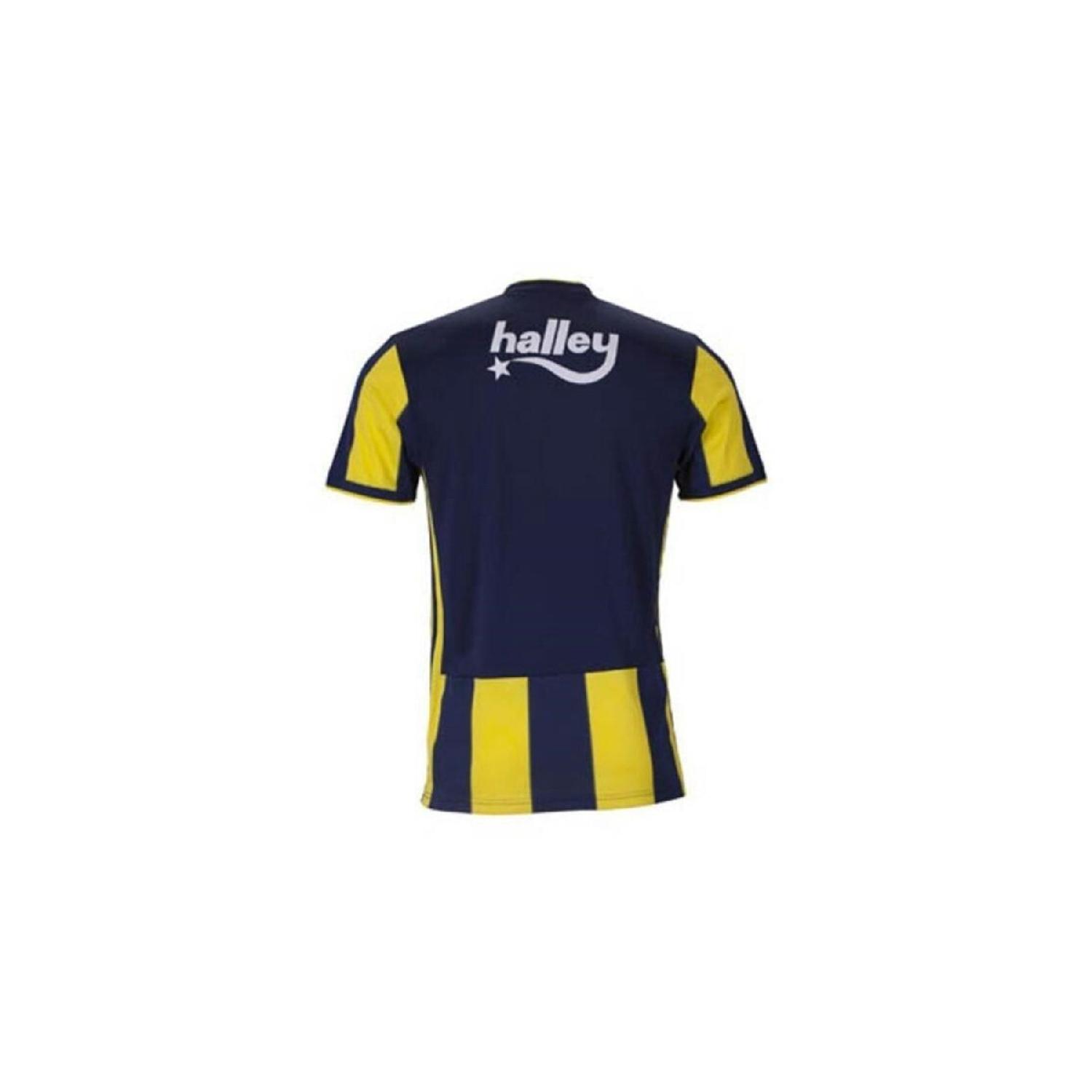 Palmiye istanbul Fenerbahe-gelicentieerd legendarisch stickjerseycadeau met houten kist XS blauw