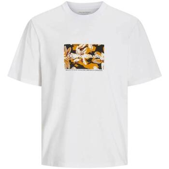 Jack & Jones Jorislington back tee ss crew neck