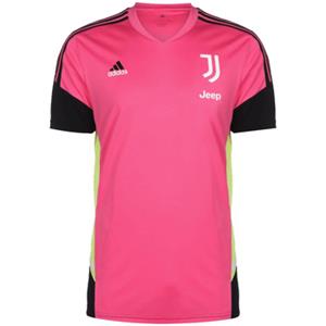 Adidas T-shirt  -