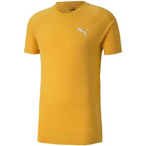 Puma Heren evostripe lite t-shirt