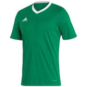 Adidas Heren entrada 22 jersey