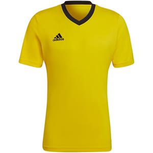 Adidas Heren entrada 22 jersey