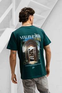 Malelions Amazon t-shirt