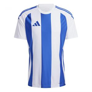 Adidas Heren 24 gestreepte trui
