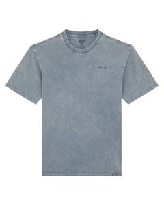 Dickies T-shirt korte mouw dk0a866bg701
