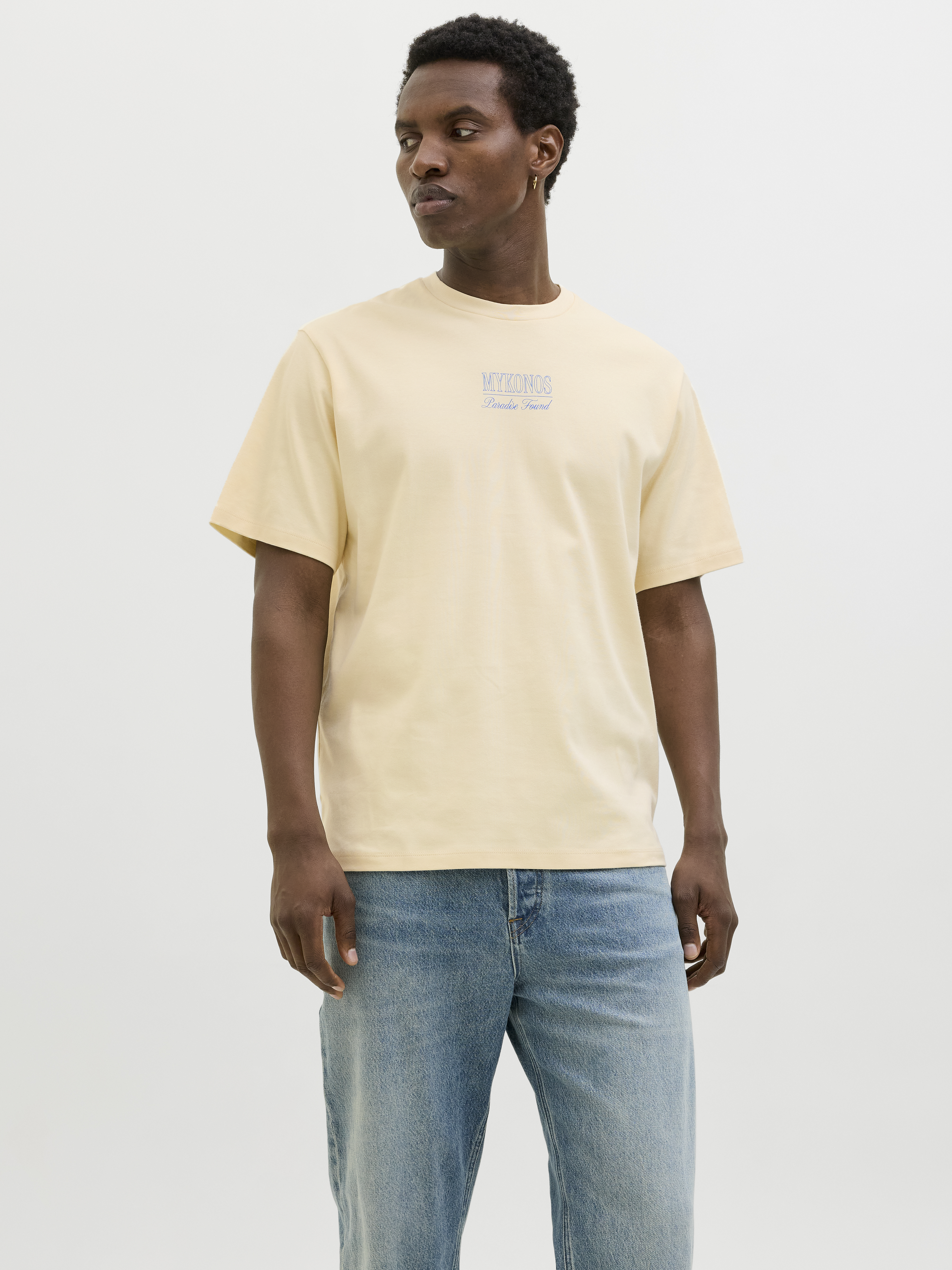 Jack & Jones Jprbladestination ss tee