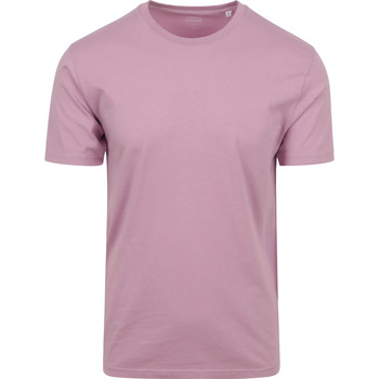 Colorful Standard T-shirt  T-shirt Cherry Paars