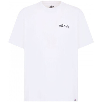 Dickies T-shirt  snake ss tee