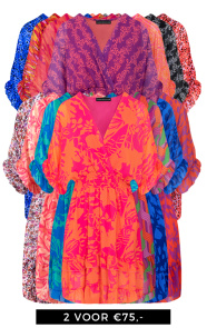 Jurkjes Deal V-hals Print Dress Marrit