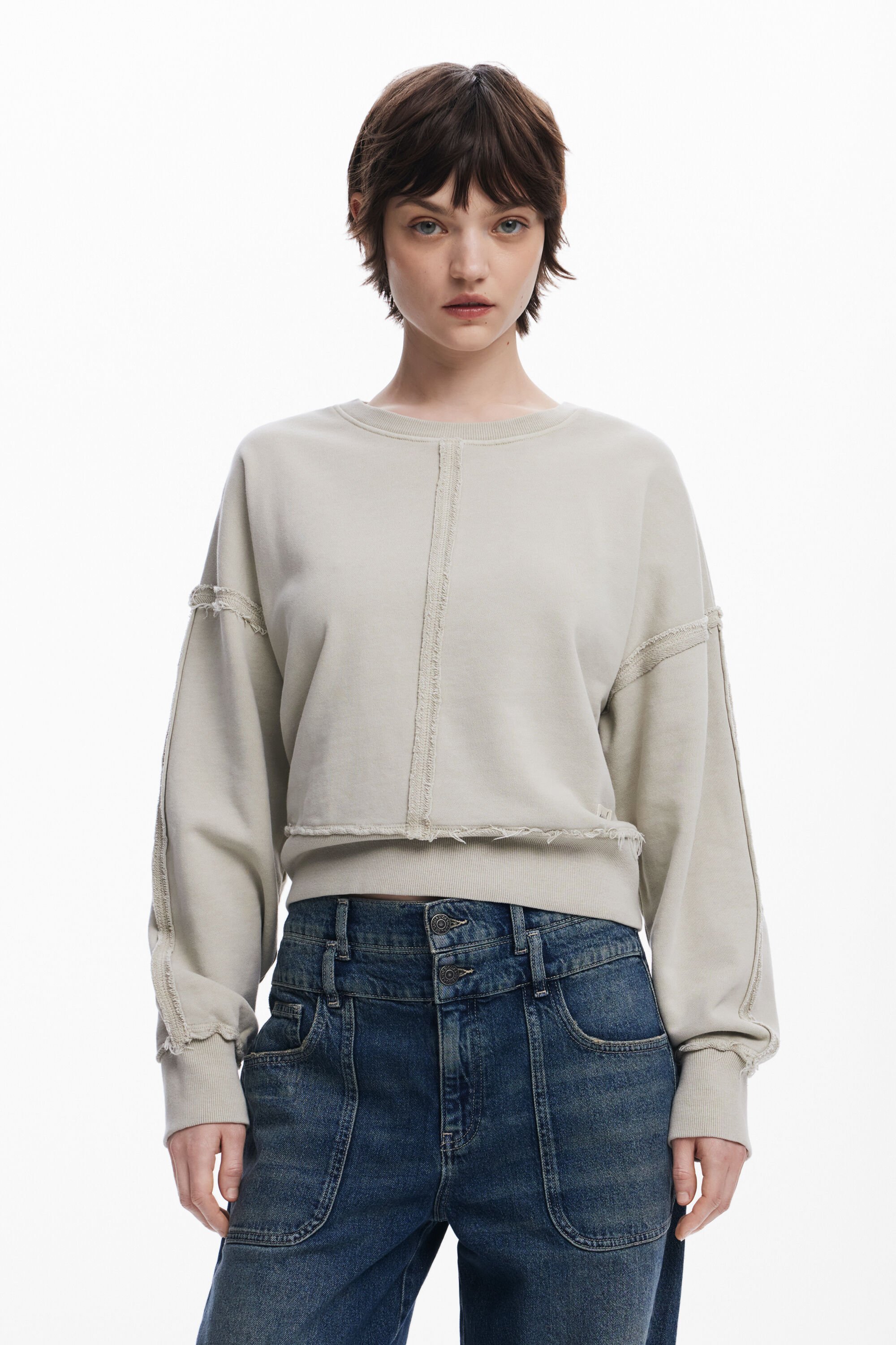 Desigual Sweatshirt met stiksels - BROWN