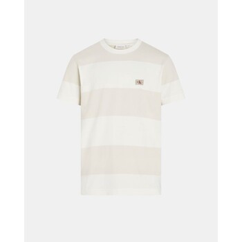 Calvin Klein Jeans T-shirt Korte Mouw  J30J327100