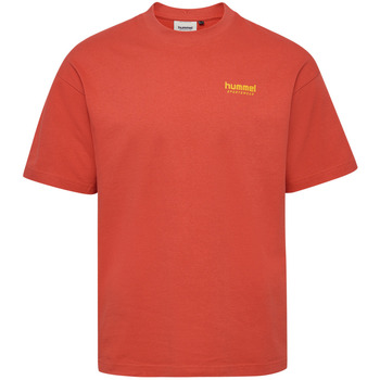 Hummel T-shirt Korte Mouw  T-shirt loose Bees Stadium