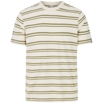 Protest T-shirt Korte Mouw  T-shirt Guino