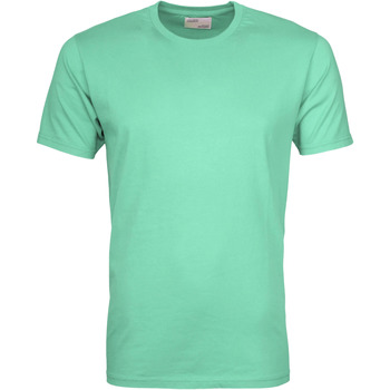 Colorful Standard T-shirt  T-shirt Faded Mint