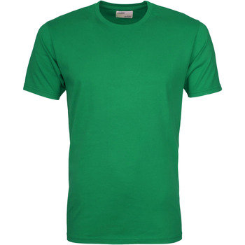 Colorful Standard T-shirt  T-shirt Kelly Green