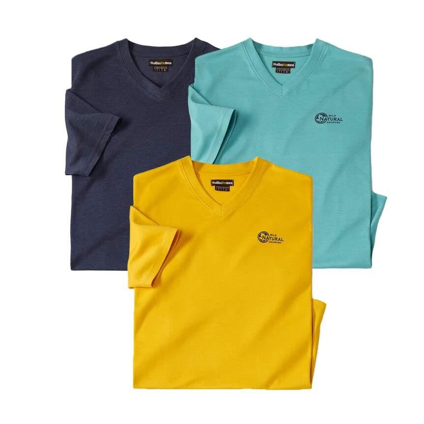 Atlas For Men Heren v hals t-shirt (pak van 3)