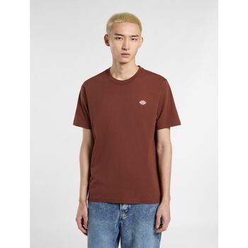 Dickies T-shirt  MAPLETON TEE SS DK0A4XDB-K471 CAPPUCCINO