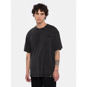 Dickies T-shirt  PLENTYWOOD TEE - DK0A866BH861-ACID BLACK