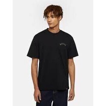 Dickies T-shirt  PANTHER TEE - DK0A4Z4I-BLK1