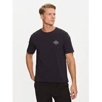 Tommy Hilfiger T-shirt  MW0MW36500 STACK TEE-DW5 DESERT SKY