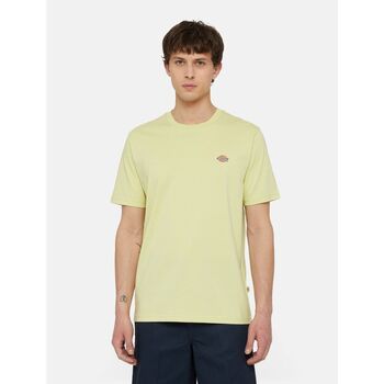 Dickies T-shirt  MAPLETON TEE SS DK0A4XDB-141 PALE GREEN