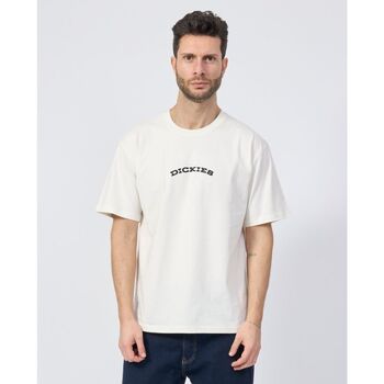 Dickies T-shirt  OUTDOOR SS TEE - DK0A4Z8P-C481 EGREY