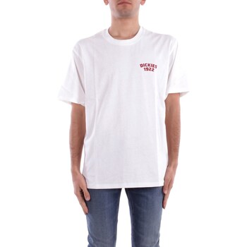 Dickies T-shirt Korte Mouw  DK0A4Z96