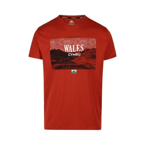 Trespass Mens Ashta Printed T-Shirt L