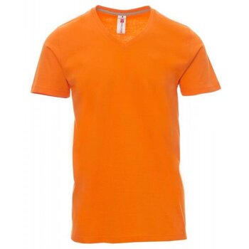 Payper Wear T-shirt Korte Mouw  T-shirt Payper V-neck