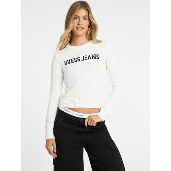 Guess Trui  W4BR10 Z3HM1-G293